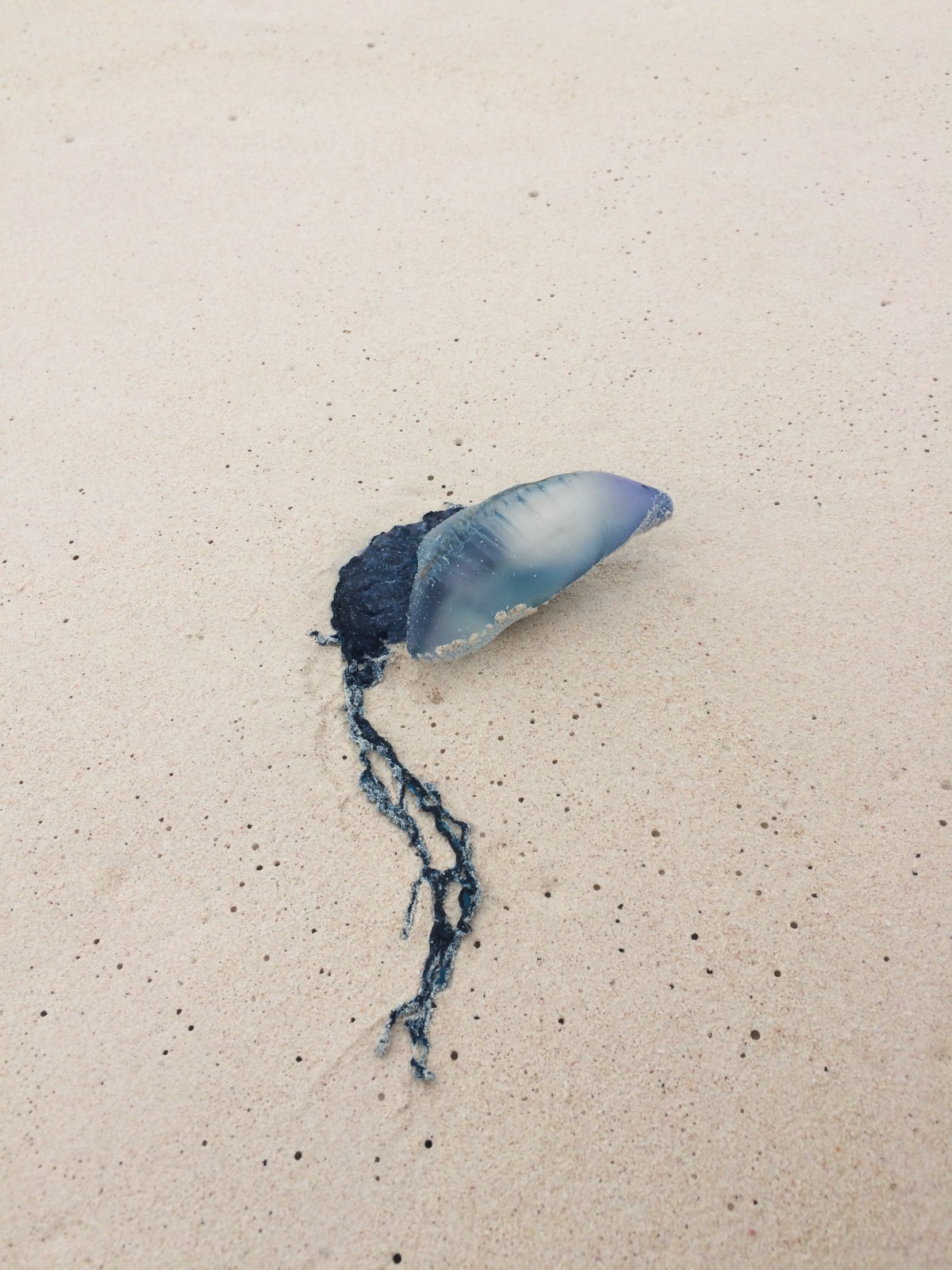 Bermuda, what did I not&nbsp;like?