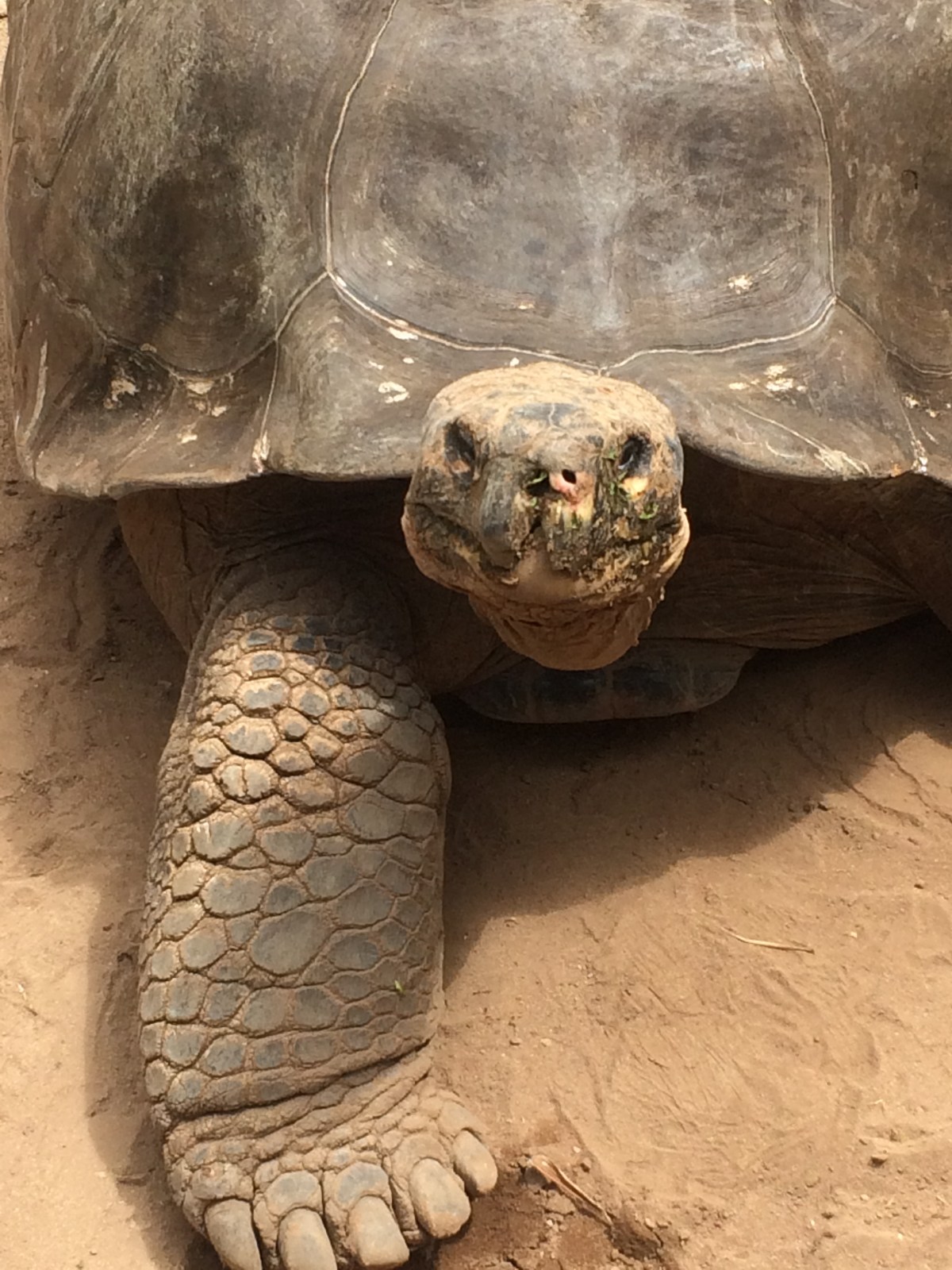 Bermuda Aquarium/Zoo and&nbsp;Museum