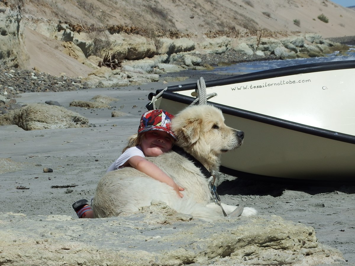 Thoughts about the Journey while cruising overnight towards&nbsp;Cabo