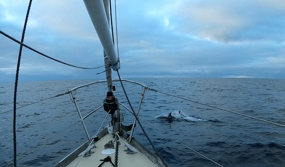 3 Days and 3 nights nonstop sail,&nbsp;ayayay!