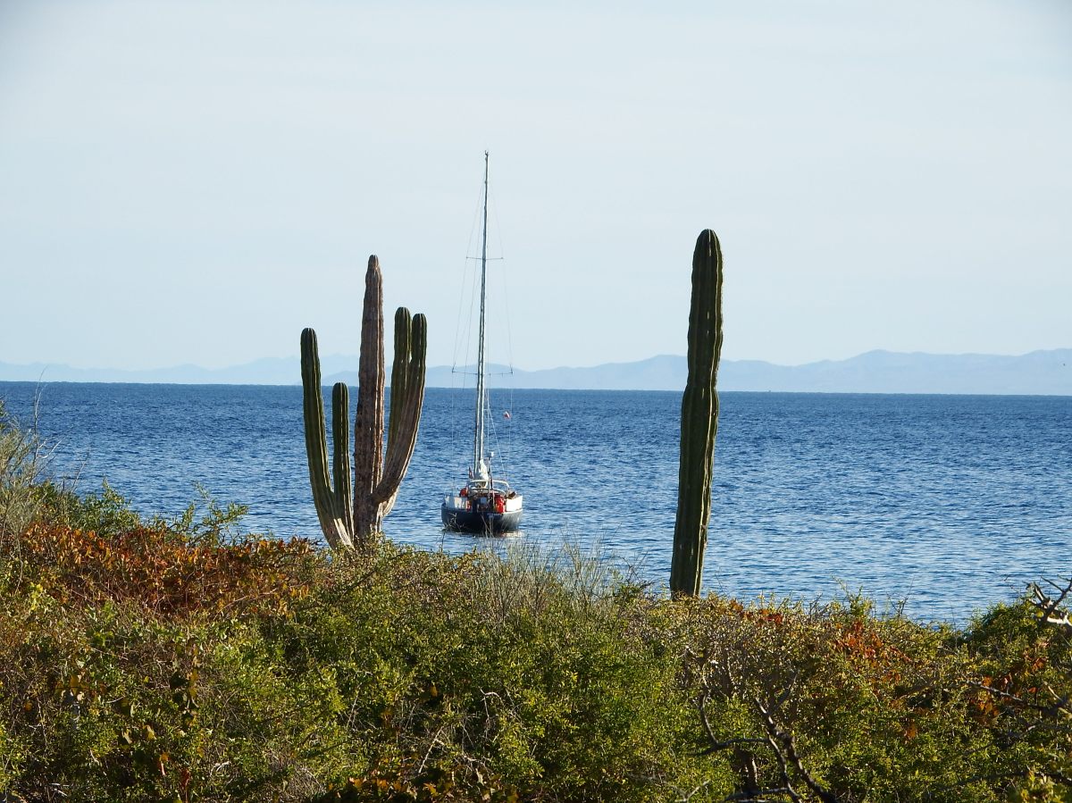 Remote Island Cerralvo-&nbsp;fantastic