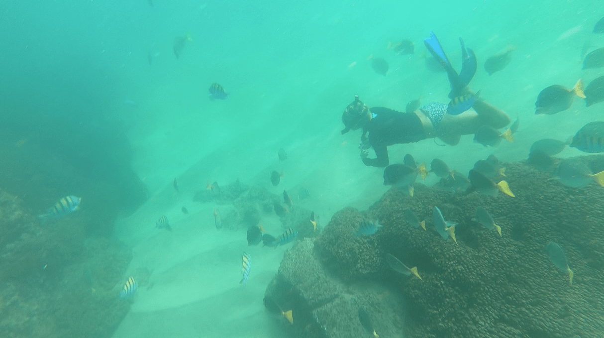 Screen Shot 2017-11-26 at 3.11.37 PM