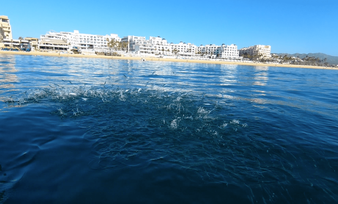 Screen Shot 2017-11-26 at 8.22.13 PM