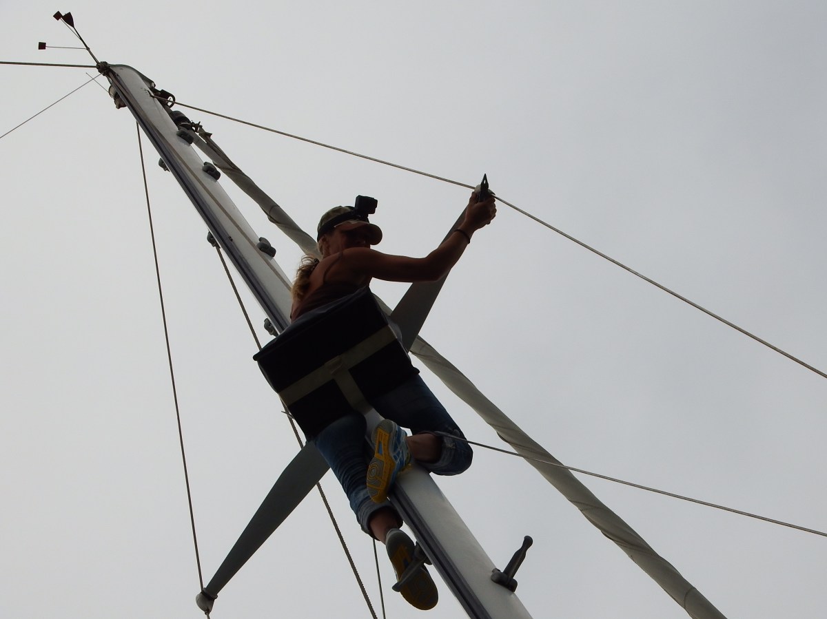 Preparing for the crossing –&nbsp;Movie!