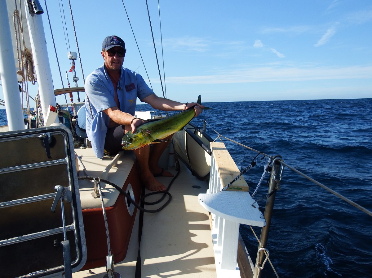 Crossing Sea de Cortez – Day 2 –&nbsp;MOVIE