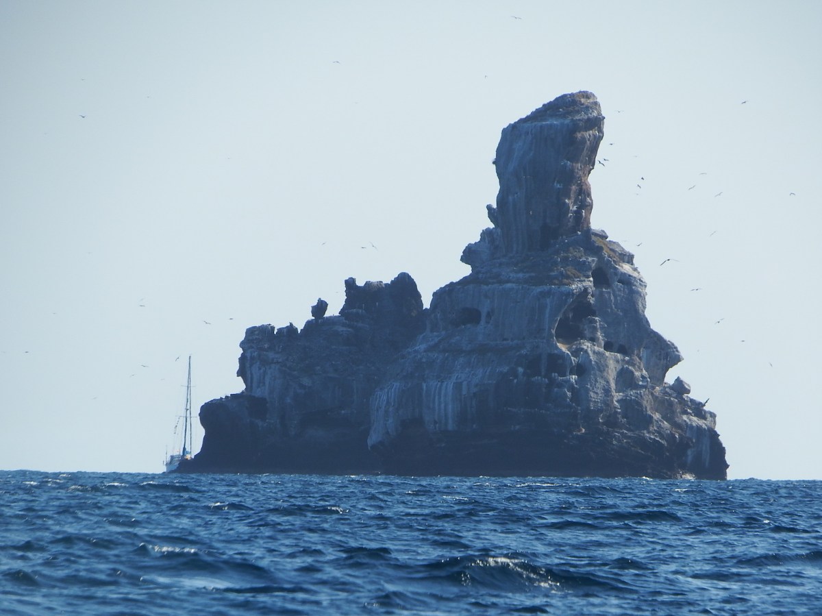 Isla Isabel – Nature Pure – MOVIE PART&nbsp;1