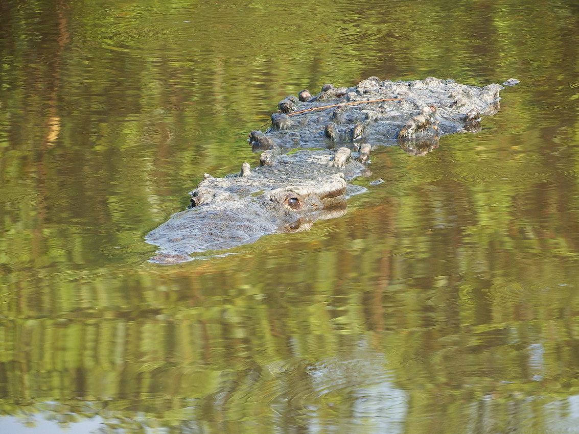 La Manzanilla – Movie – WOW&nbsp;Moment!