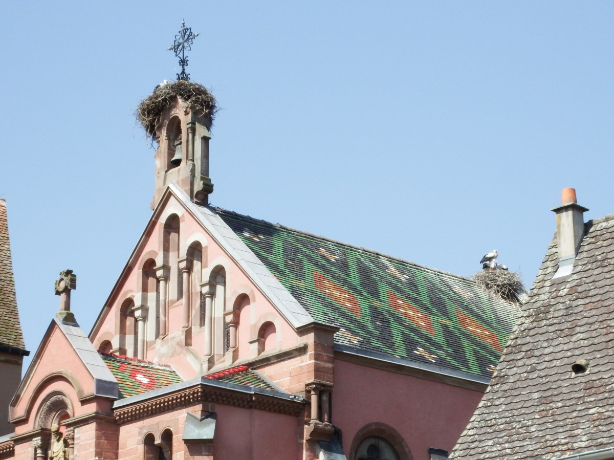 Eguisheim, Alsace-France