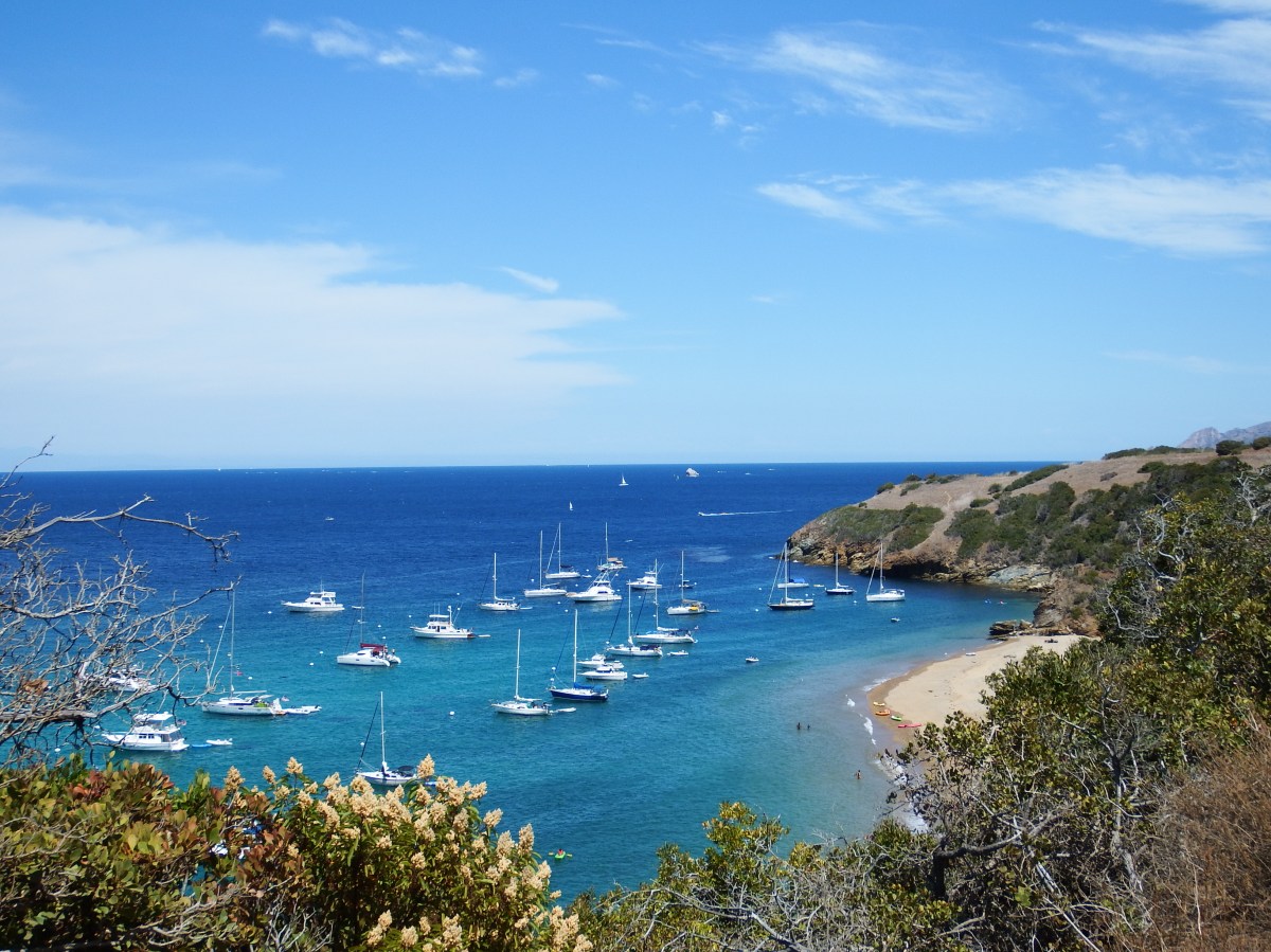 Did he really? 4yr old boy! – Catalina&nbsp;Island-MOVIE