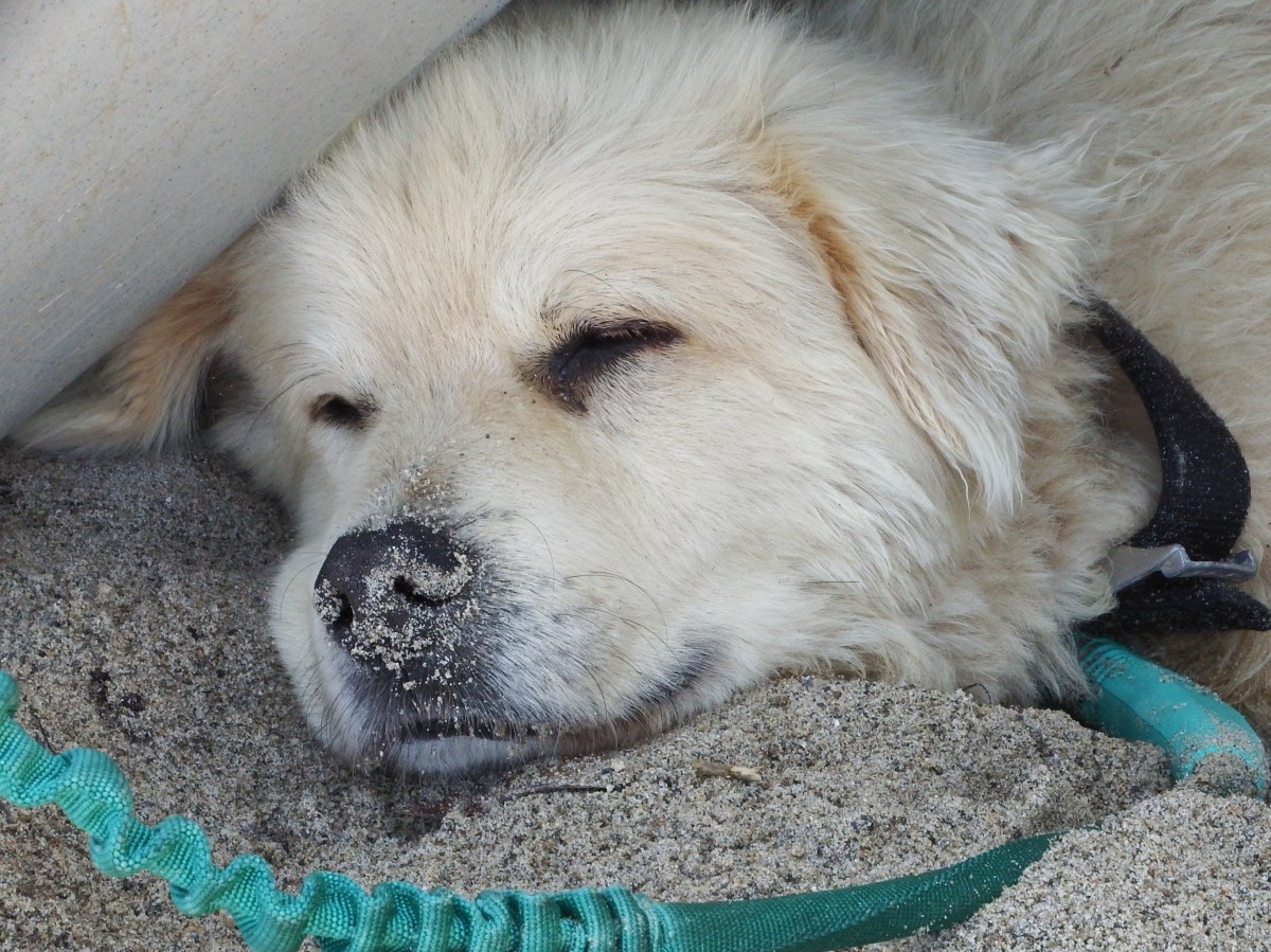 Celebrities at Malibu&nbsp;Beach