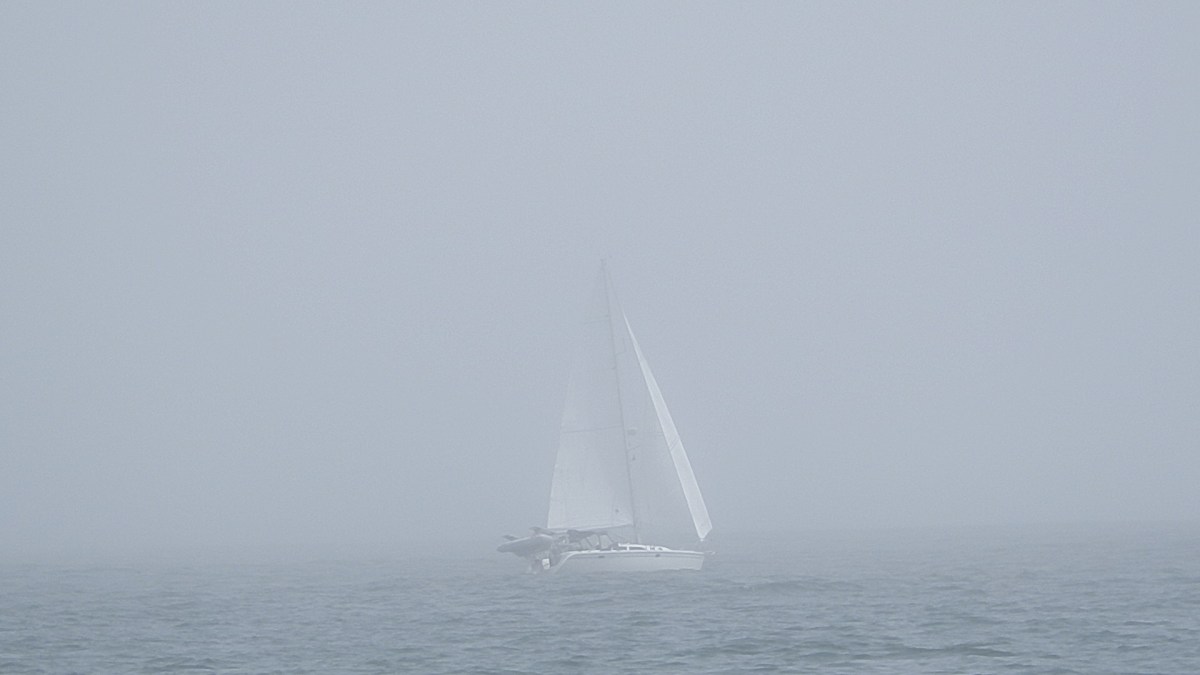 Fog and lots of action- PT. CONCEPTION – Movie x&nbsp;2